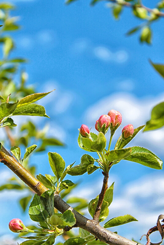 ... - Наталья 