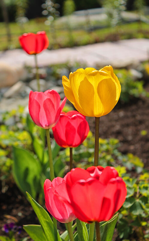 ... - Наталья 