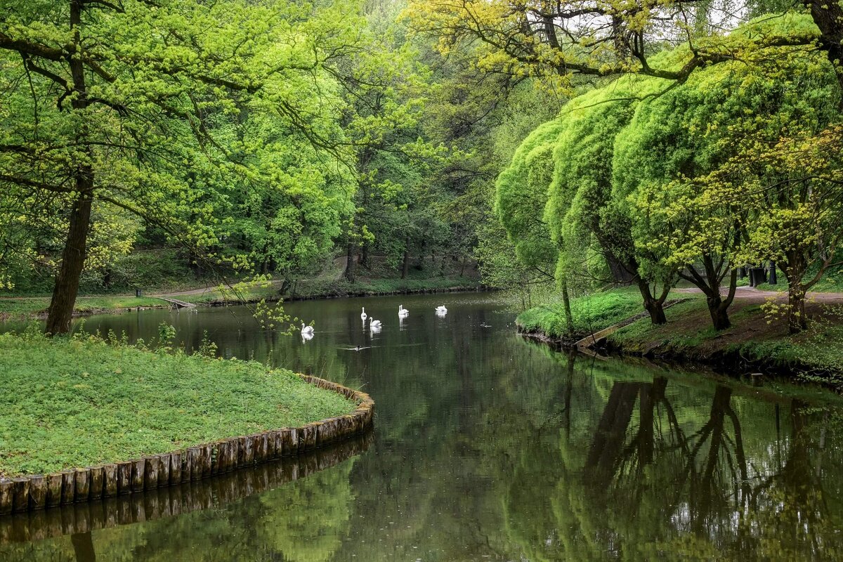 *** - Зинаида Манушкина *** - Зинаида Манушкина