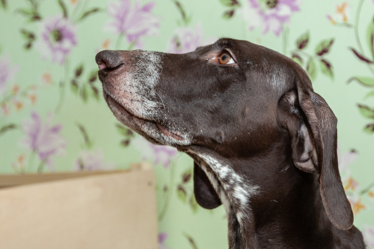 Батти - Павел Кошалеф