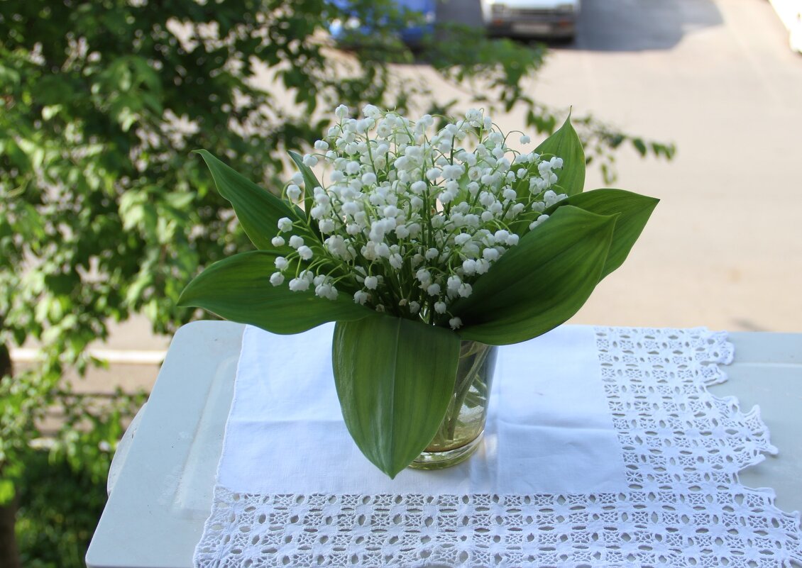 Май. - Венера Чуйкова Май. - Венера Чуйкова