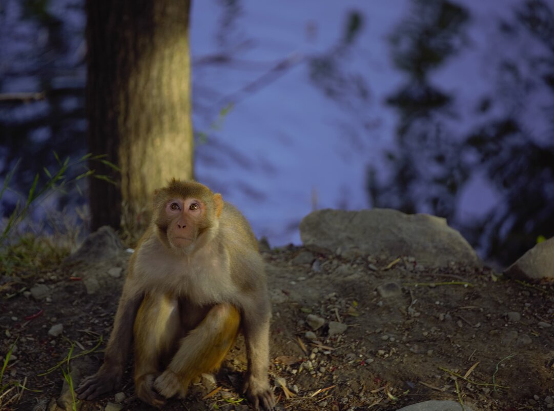 Непростой вопрос - liudmila drake