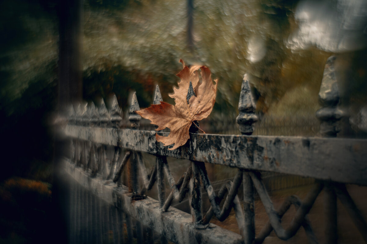 Павший в октябре. - Анатолий Щербак Павший в октябре. - Анатолий Щербак