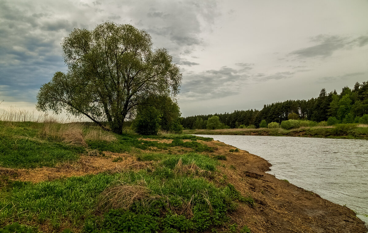 Утро на Клязьме - Андрей Дворников