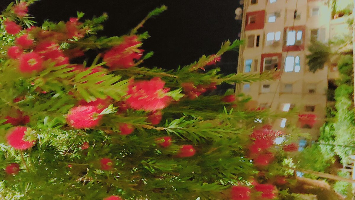 13  ОПЕН (23) - OPEN WAYS ALL