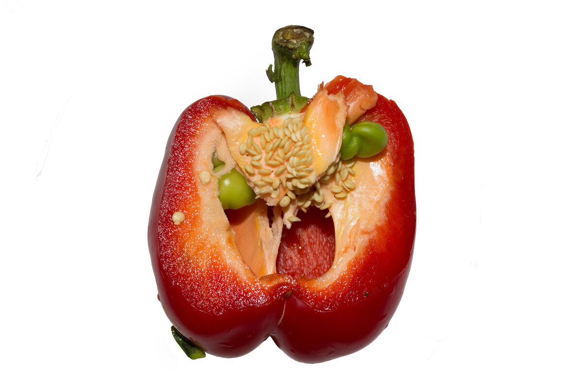 Scream 2 - Дмитрий Костоусов