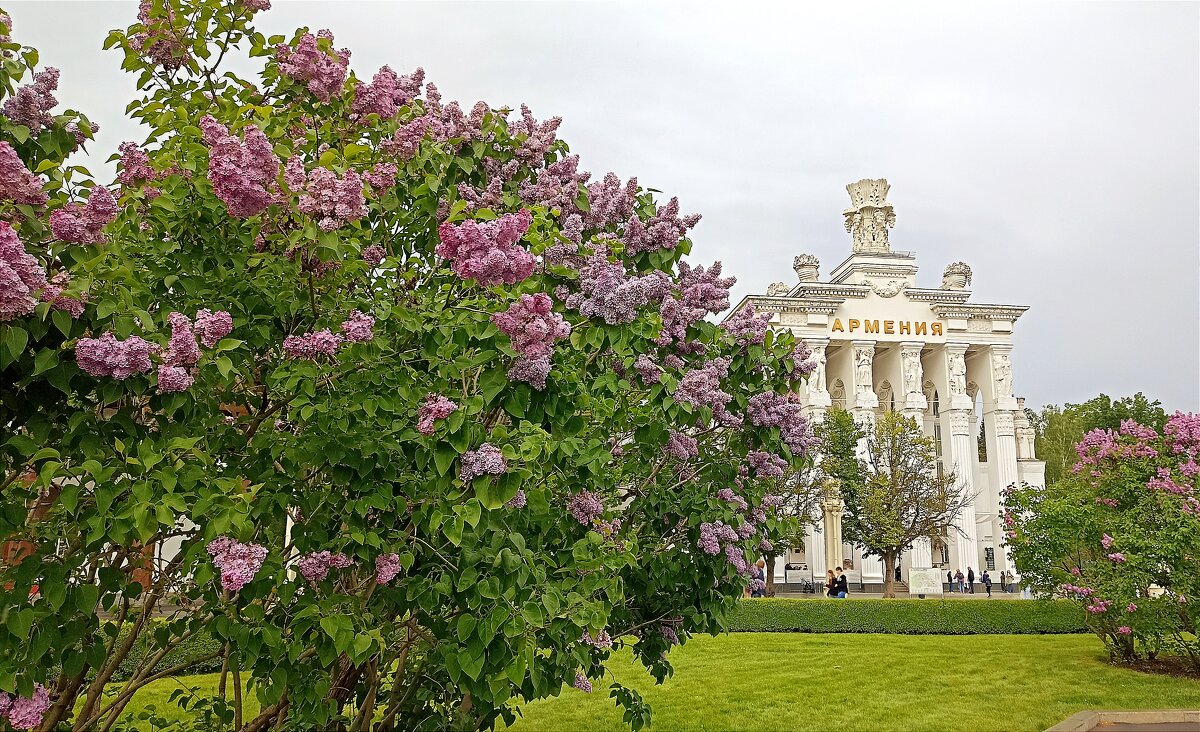 ВДНХ - Татьяна Тюменка ВДНХ - Татьяна Тюменка