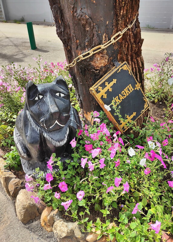 Кот учёный - Валерий Судачок Кот учёный - Валерий Судачок