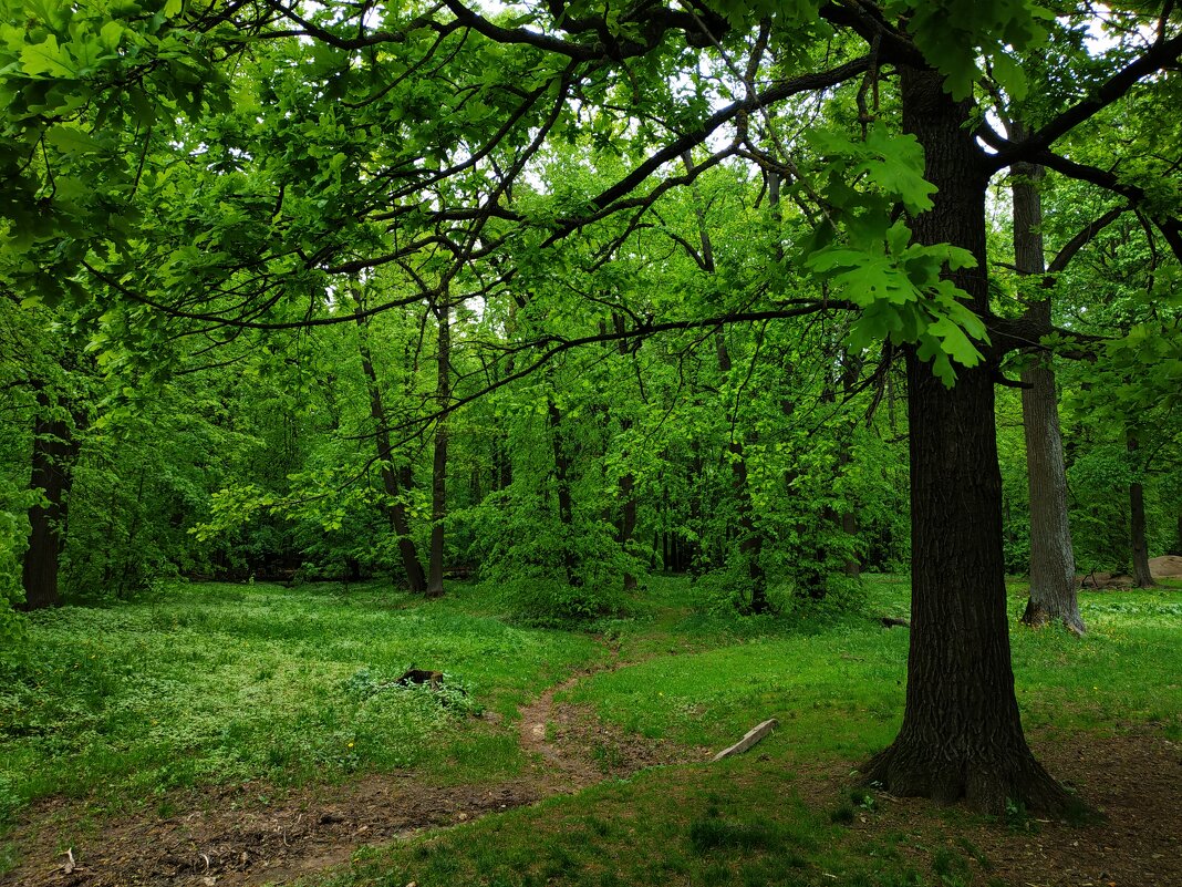 * * * - Андрей Лукьянов * * * - Андрей Лукьянов