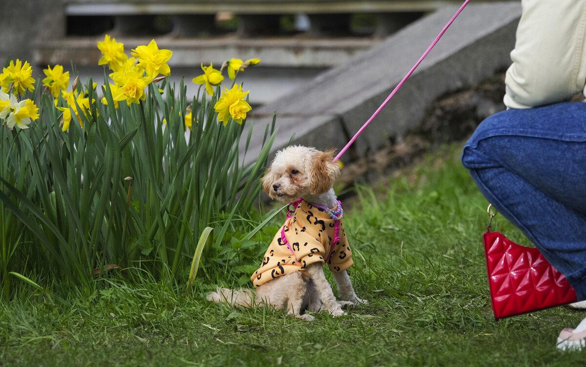 Снимайте скорее! - Магомед .