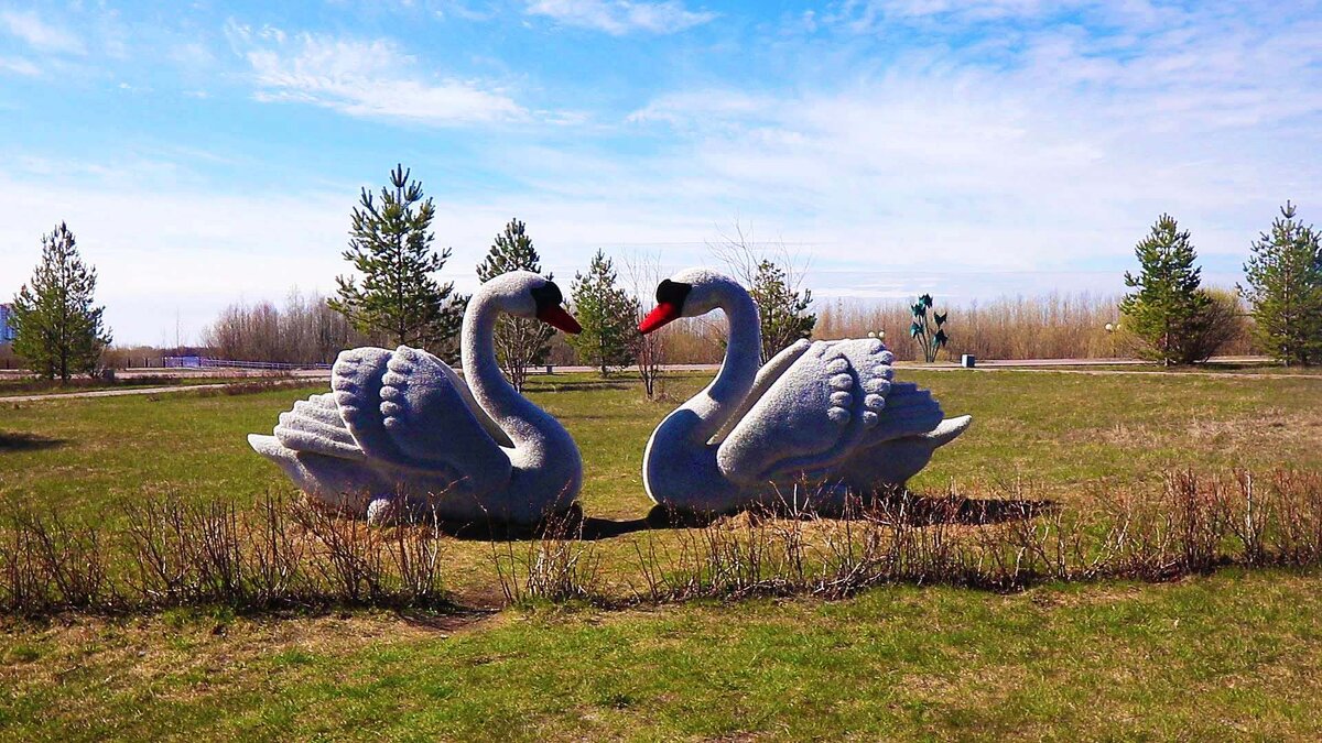 Май..Лебедушки! - Владимир 