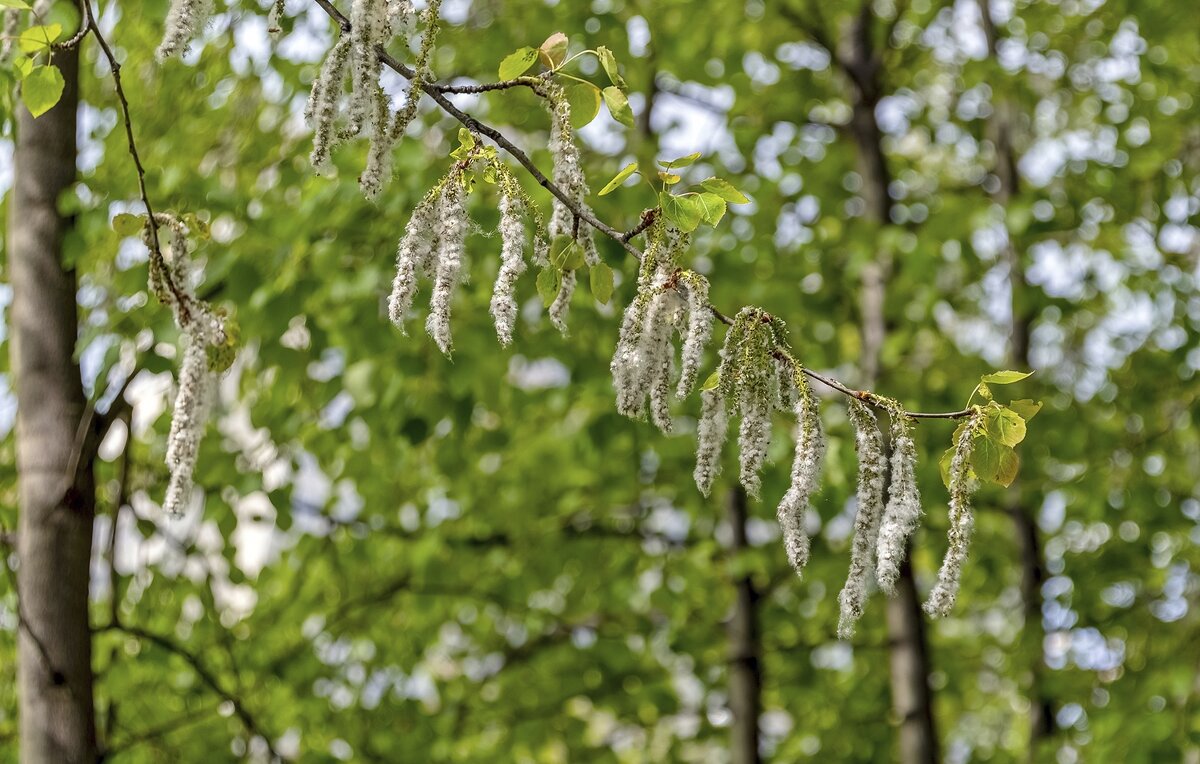 Полетели - Валерий Иванович