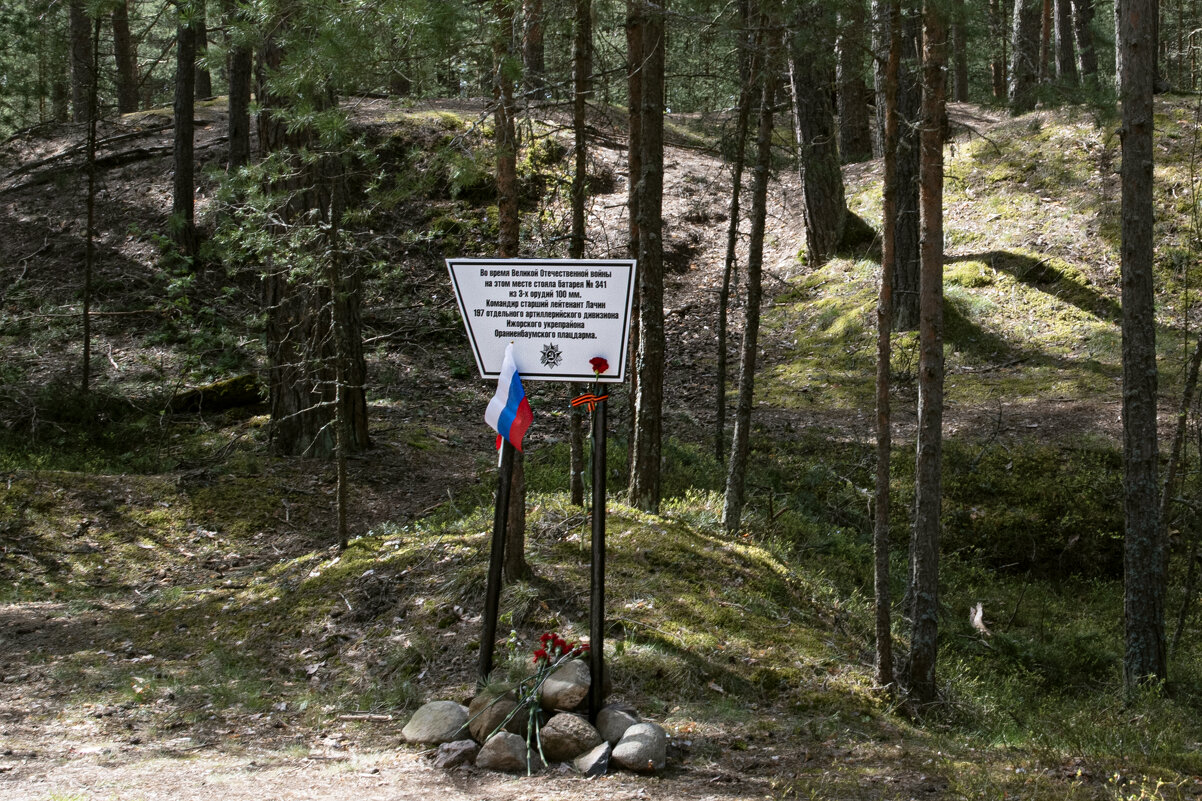 Здесь стояла батарея. - Валерий Пославский