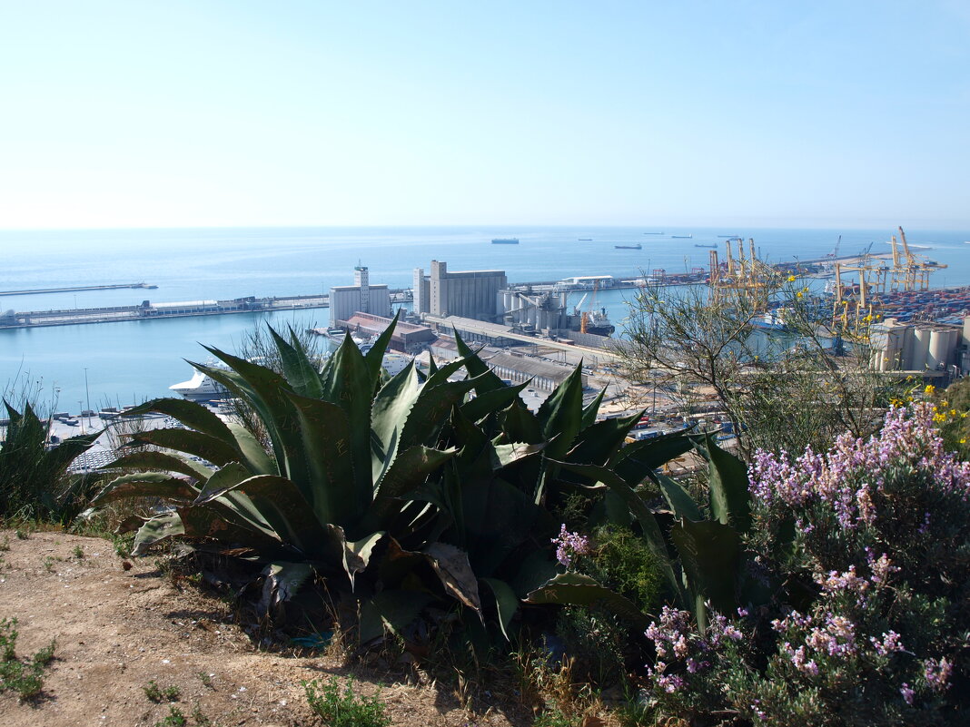 Испания. Каталония. - Владимир Драгунский