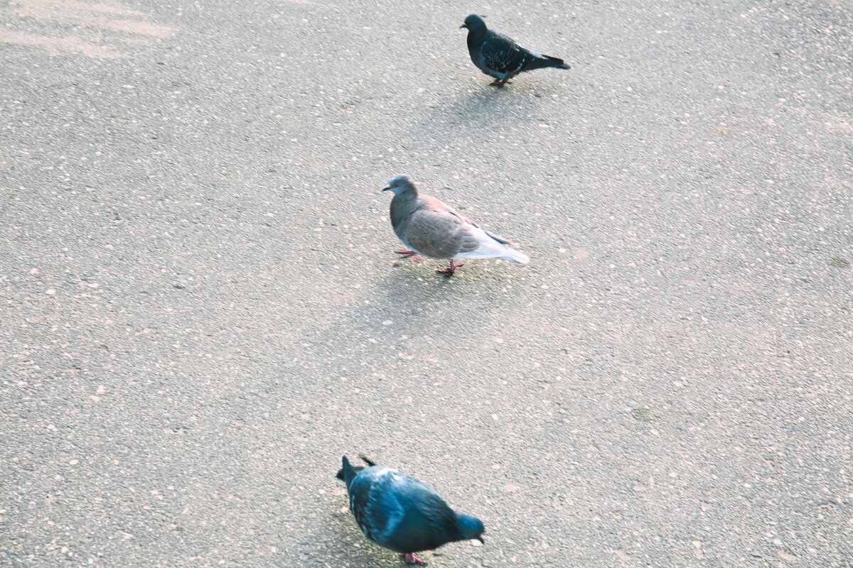 Назва. отсу. - Денис Безногов