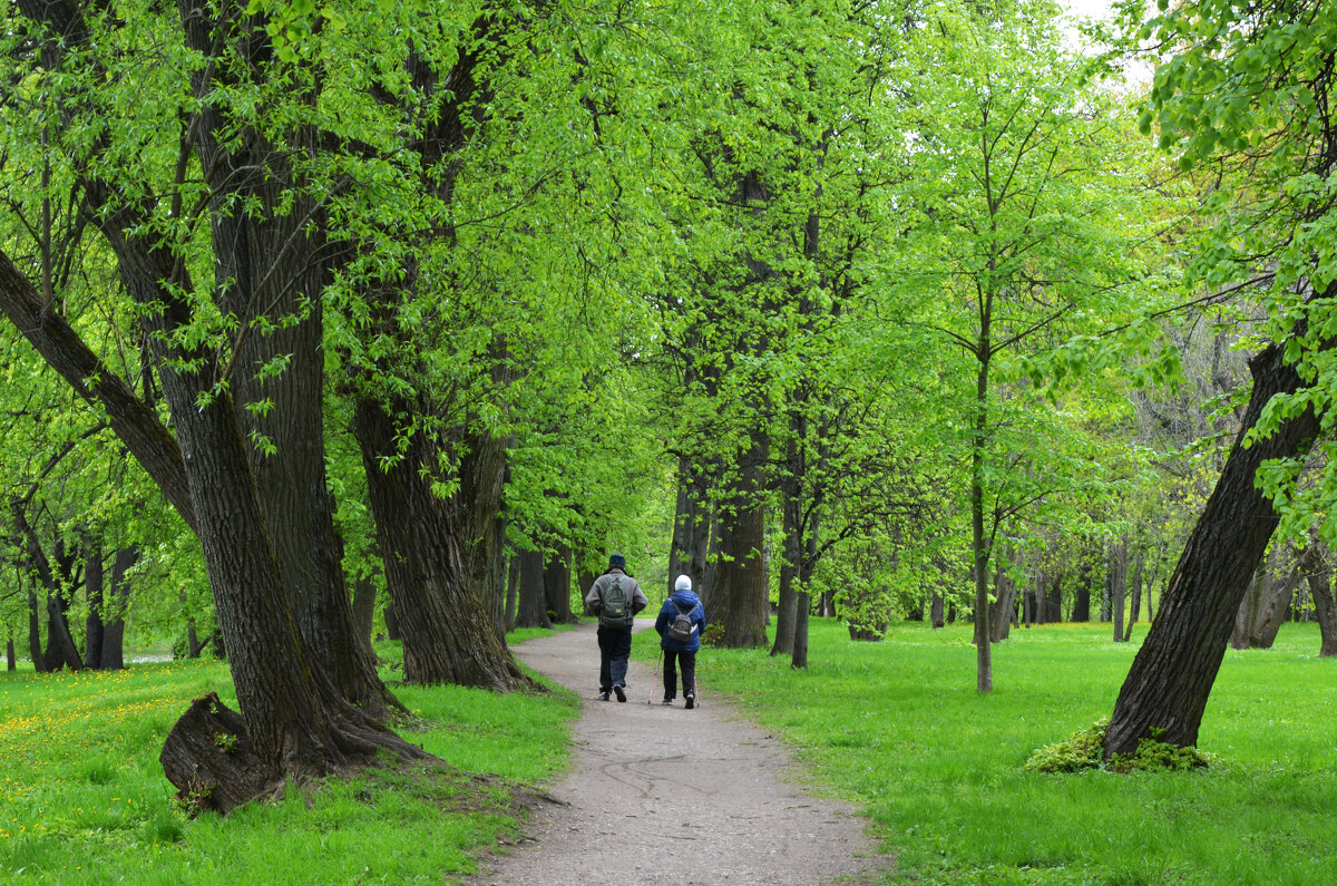 Москва. Царская усадьба Измайлово, XVII в. - Наташа ***** Москва. Царская усадьба Измайлово, XVII в. - Наташа *****
