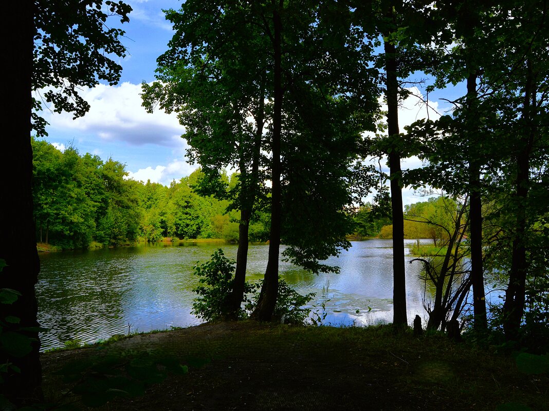 Чебоксары. На полуострове Ботанического пруда. - Пётр Чернега