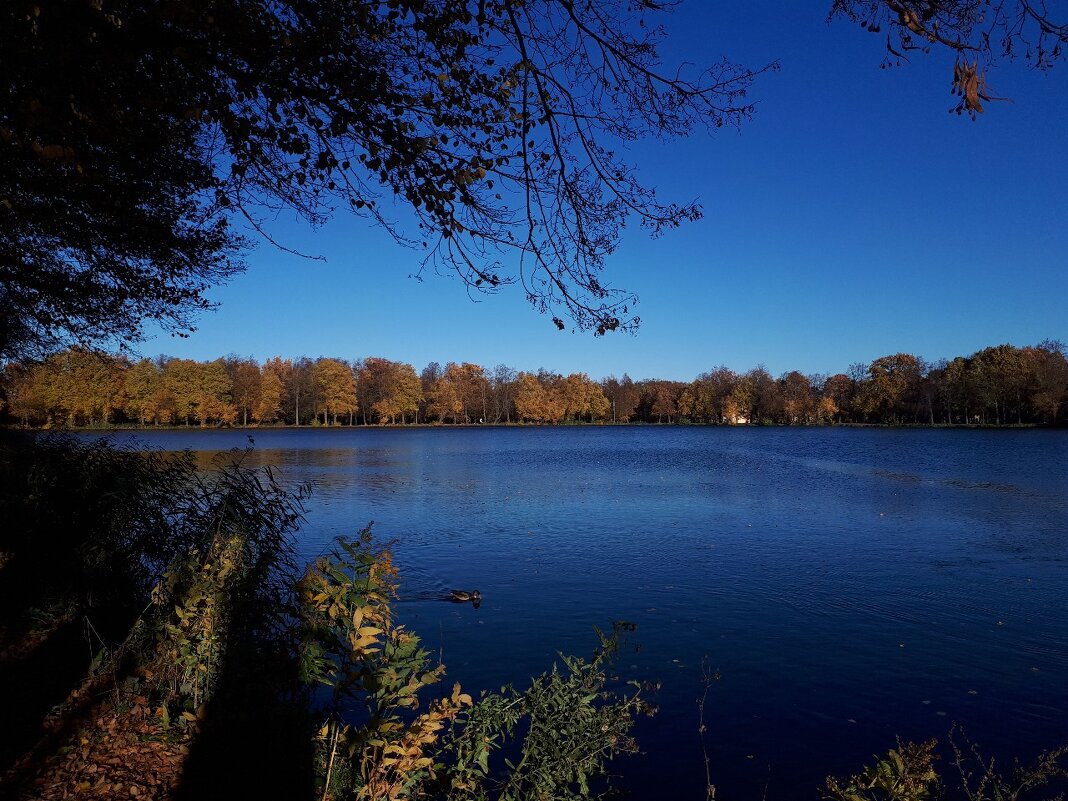 !Красный пруд" в Петергофе. - Надежда 