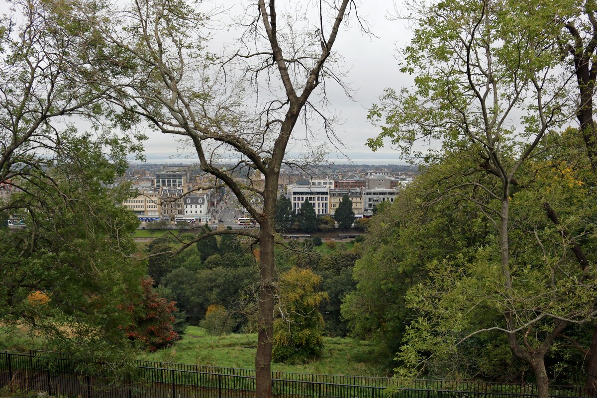 Хмурое утро - Ольга 