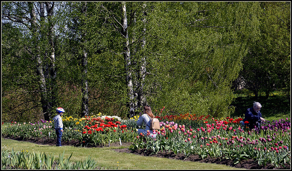 Как прекрасен этот МИР-посмотри... - Aleksandr Gal Как прекрасен этот МИР-посмотри... - Aleksandr Gal