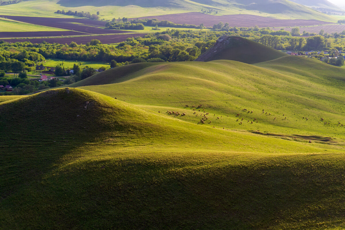 Ладонь Бога - Максимка 