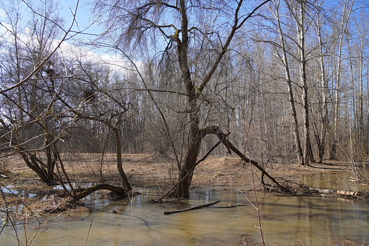 На Ушайке - Галина Кан На Ушайке - Галина Кан