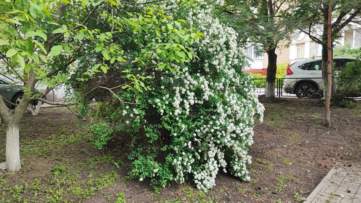 ,,, - Сергей Тимоновский