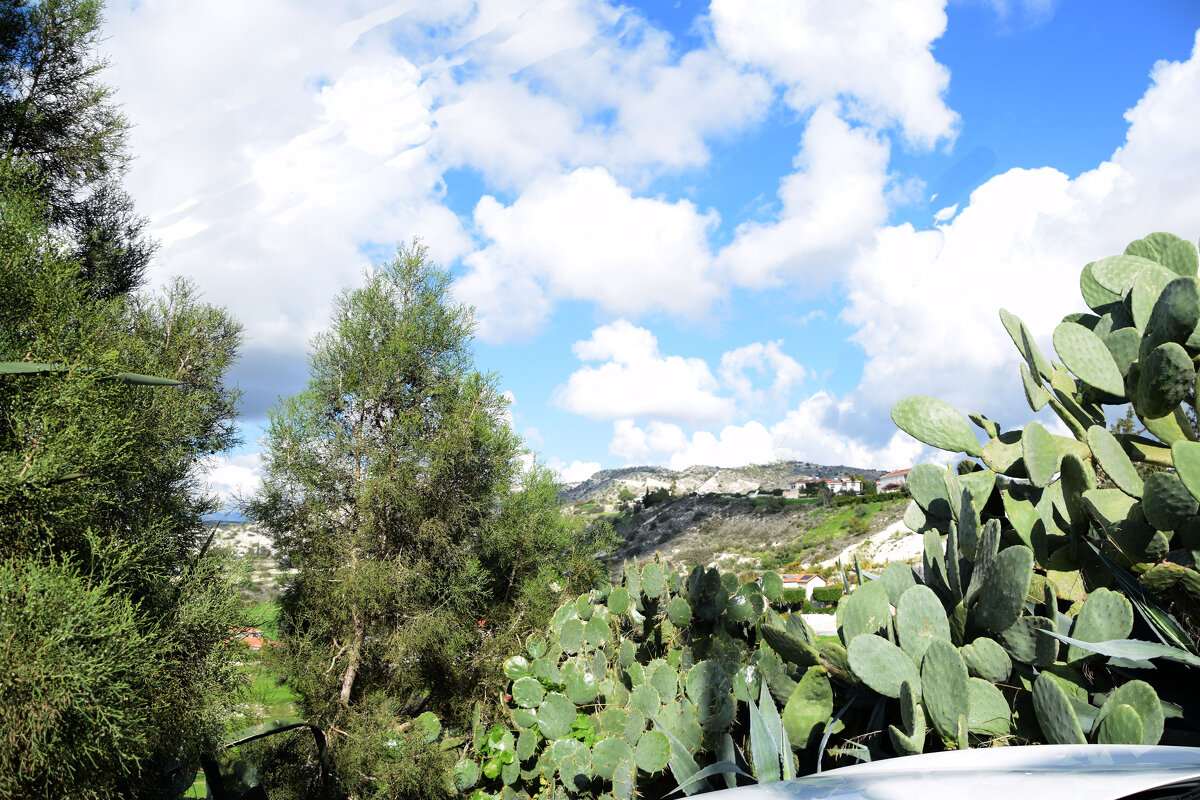 Природа - Oleg4618 Шутченко