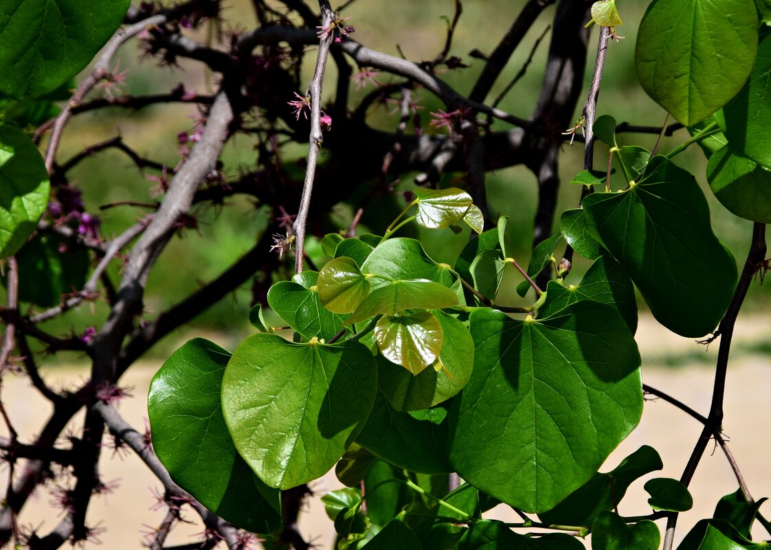 *** - Павленко Михаил 