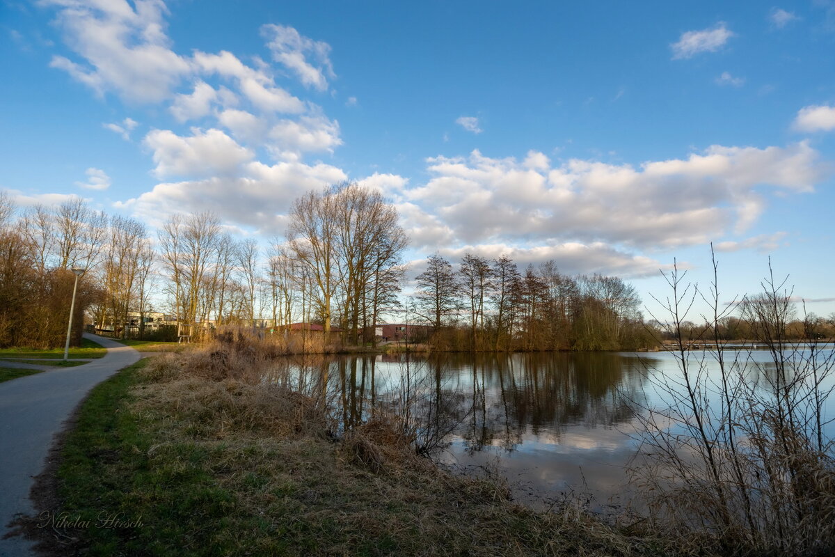 *** - Николай Гирш