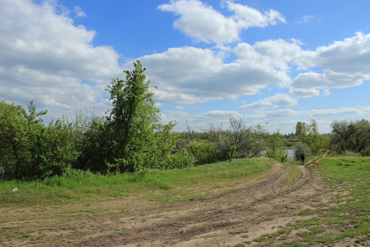 Местные зарисовки. - Виктор 