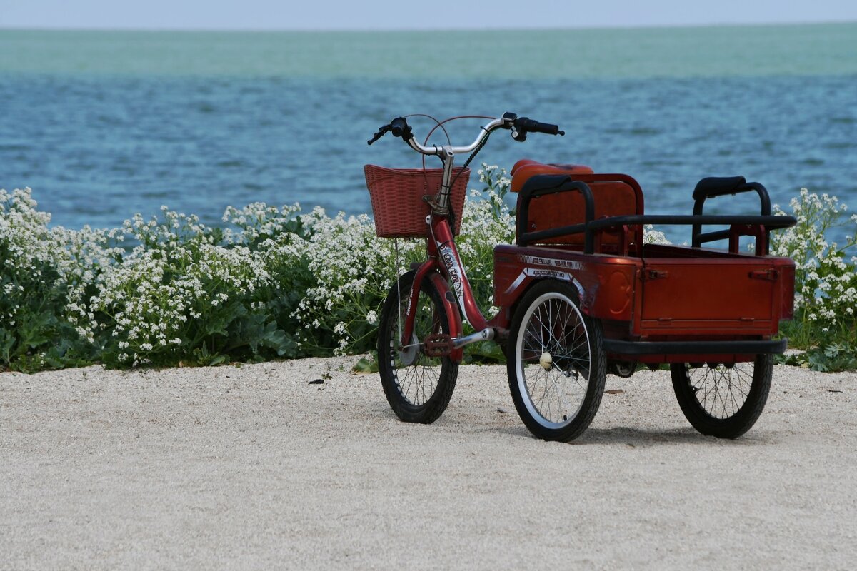 Одинокий)) - Татьяна Евдокимова Одинокий)) - Татьяна Евдокимова