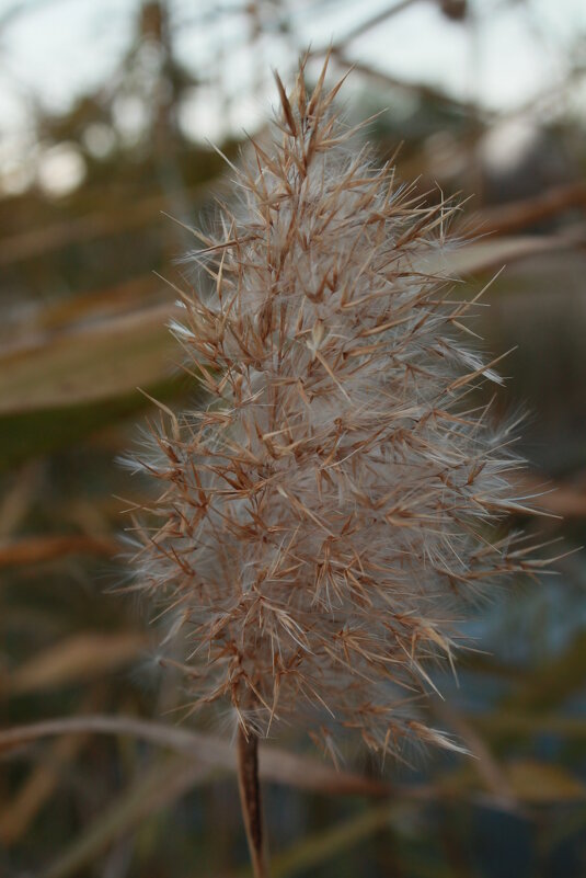 воздушно - Андрей Петренко