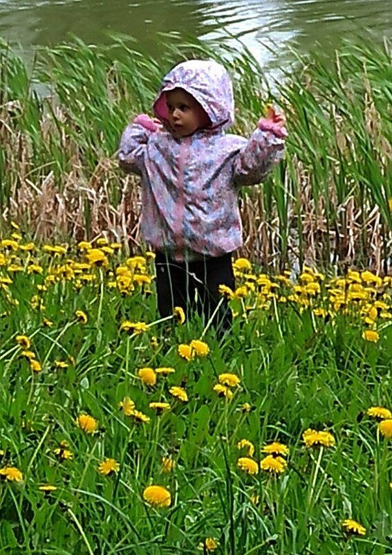 — И это всё моё? ! - veilins veilins