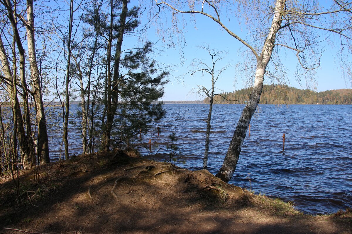 Токсово - Наталья Герасимова Токсово - Наталья Герасимова