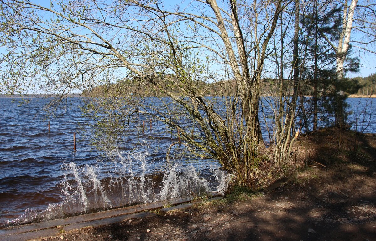 Токсово - Наталья Герасимова Токсово - Наталья Герасимова