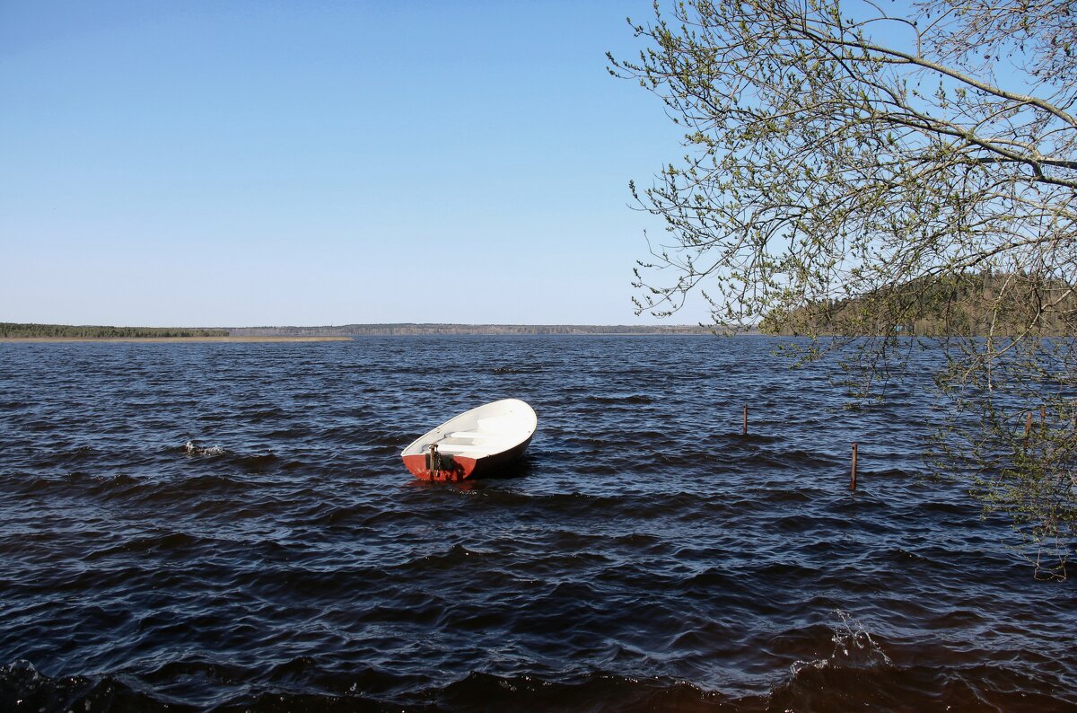 Токсово - Наталья Герасимова Токсово - Наталья Герасимова