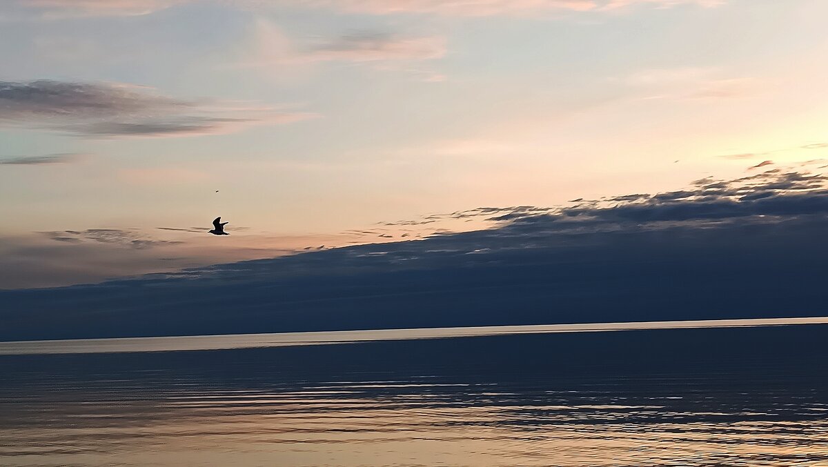 Тихий вечер - Андрей 