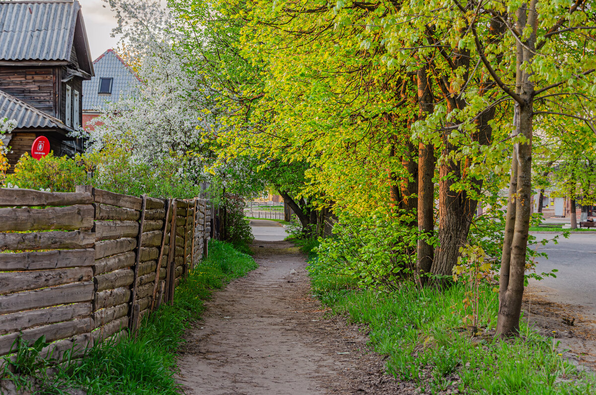Город - цветущий сад - Александр Филатов