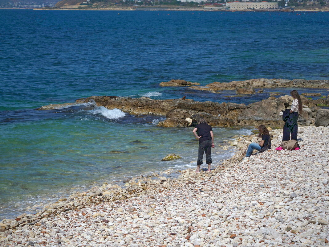 Воскресные прогулки - Всеволод 