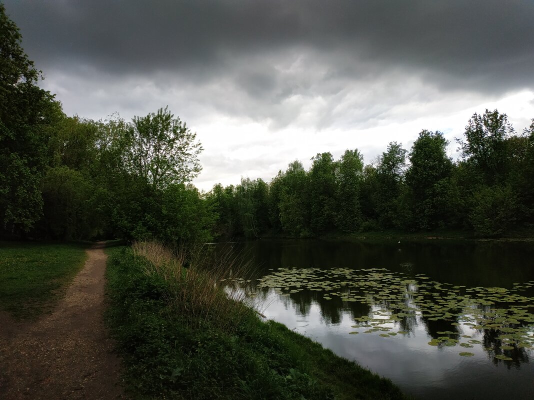 Природа очень хмурилась - Андрей Лукьянов Природа очень хмурилась - Андрей Лукьянов