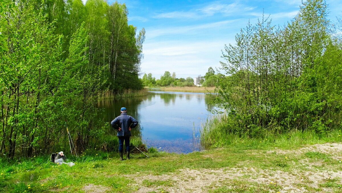 Не клюёт! - Милешкин Владимир Алексеевич 