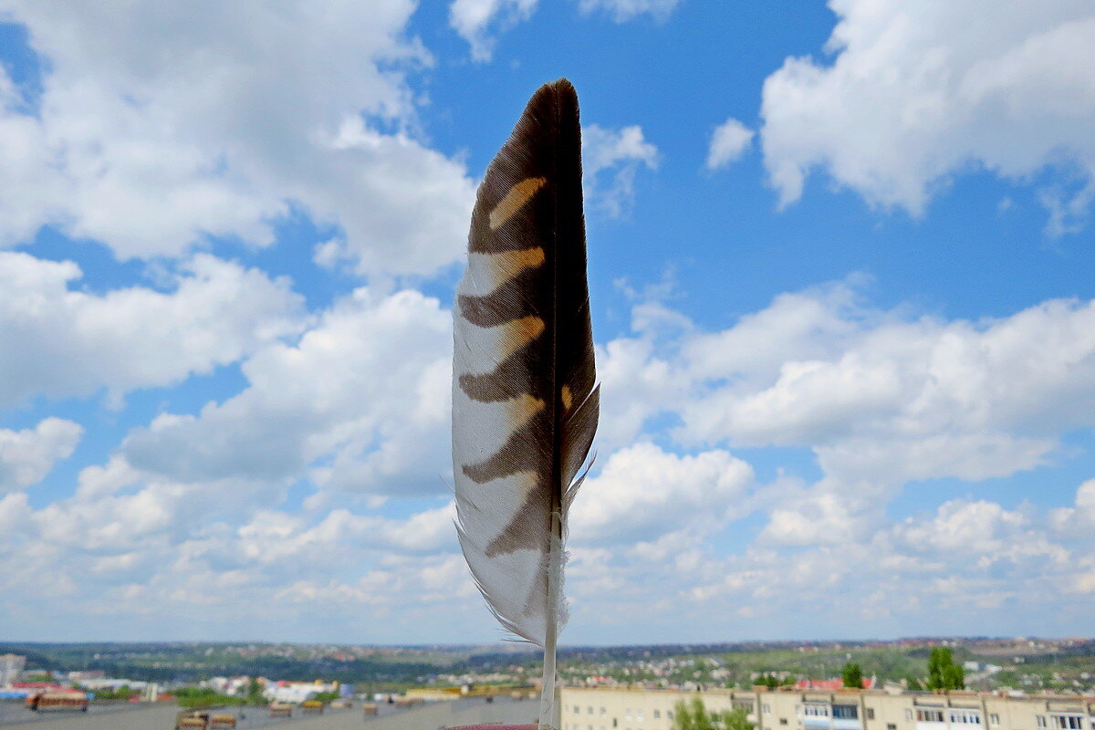 Чей туфля ? ... - Сеня Белгородский