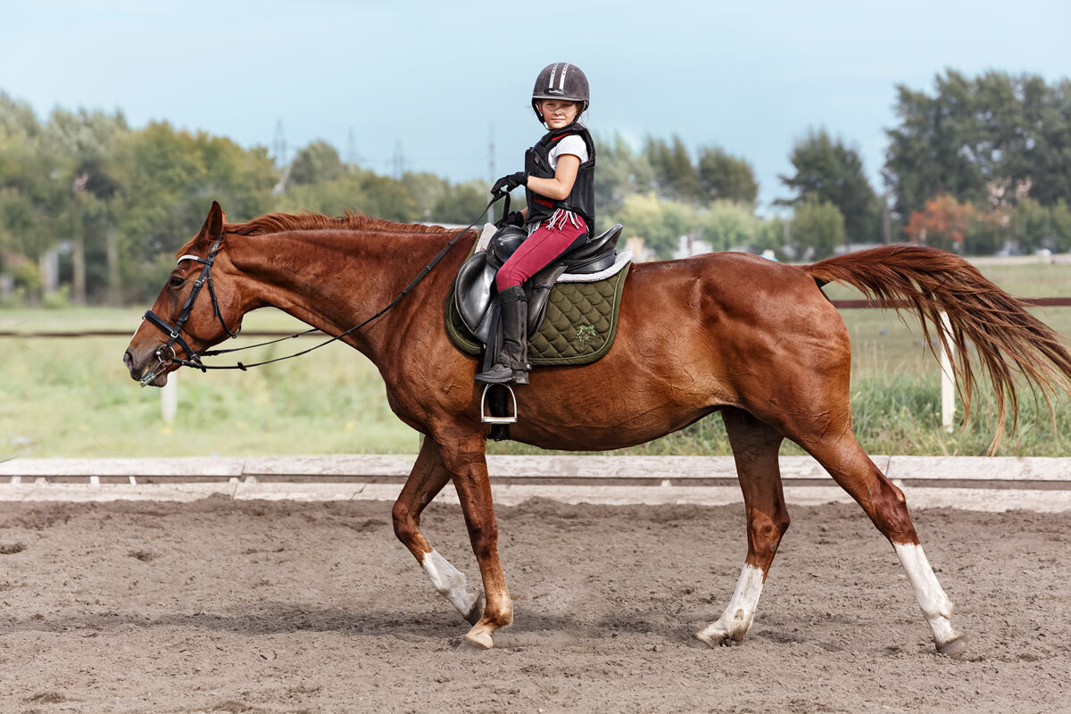 Всадница - SanSan 