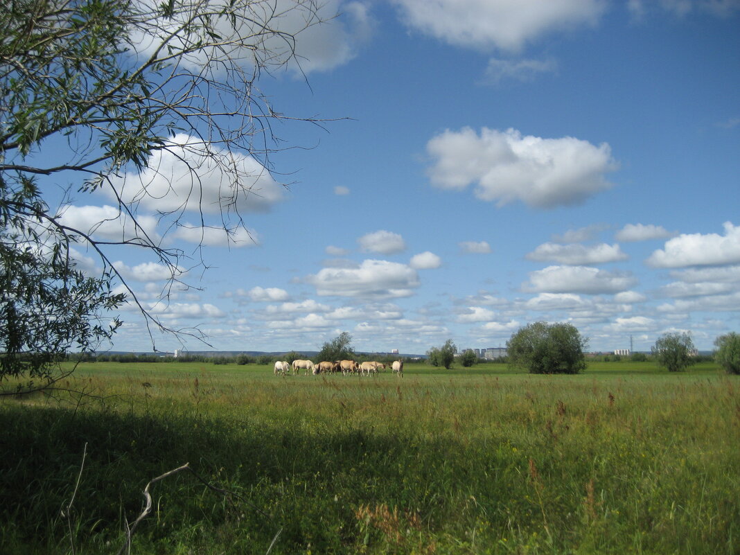 Лето - Anna Ivanova