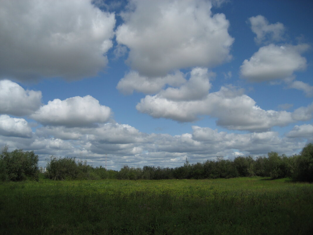 Лето - Anna Ivanova