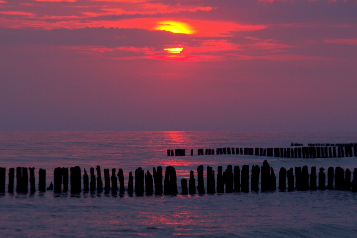 Утро - Юрий. Шмаков