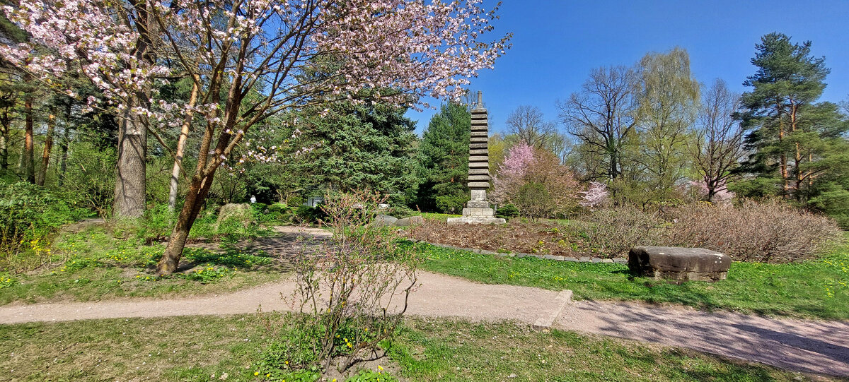 Весна продолжается - ИРЭН@ .