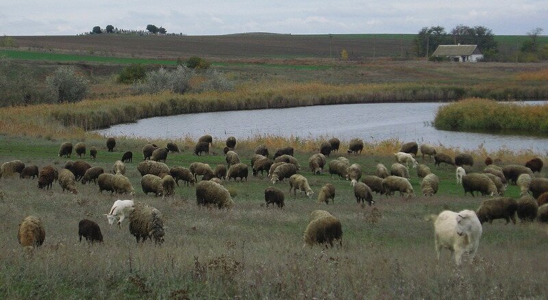 . - Александр Хоменко