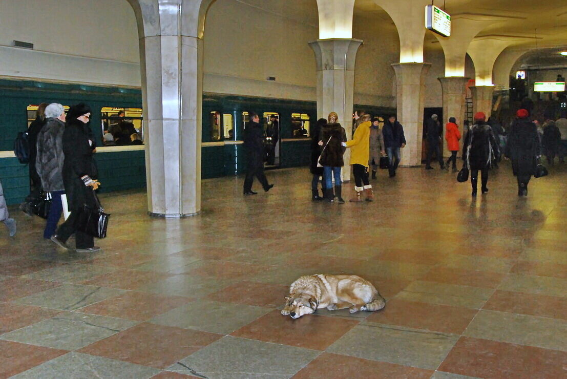 В метро - Анастасия Смирнова